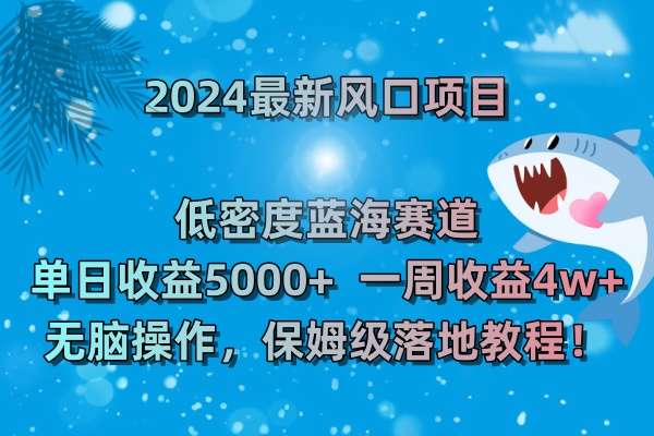 （8545期）2024最新风口项目 低密度蓝海赛道，日收益5000+周收益4w+ 无脑操作，保…-智学院资源网