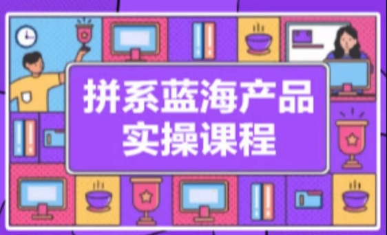 拼系冷门蓝海产品实操课程，从注册店铺到选品上架到流量维护环环相扣-智学院资源网