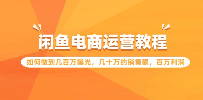 闲鱼电商运营教程：如何做到几百万曝光，几十万的销售额，百万利润-智学院资源网