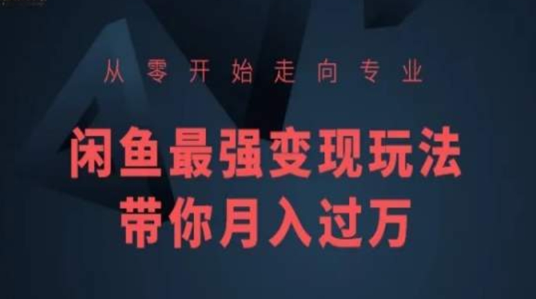 从零开始走向专业，闲鱼最强变现玩法带你月入过万-智学院资源网