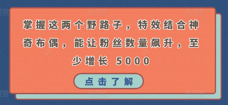 掌握这两个野路子，特效结合神奇布偶，能让粉丝数量飙升，至少增长 5000-智学院资源网