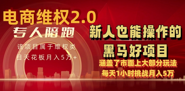 电商维权 4.0 如何做到月入 5 万+每天 1 小时新人也能快速上手【仅揭秘】-智学院资源网