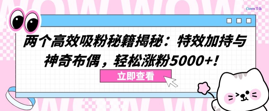 两个高效吸粉秘籍揭秘：特效加持与神奇布偶，轻松涨粉5000+-智学院资源网