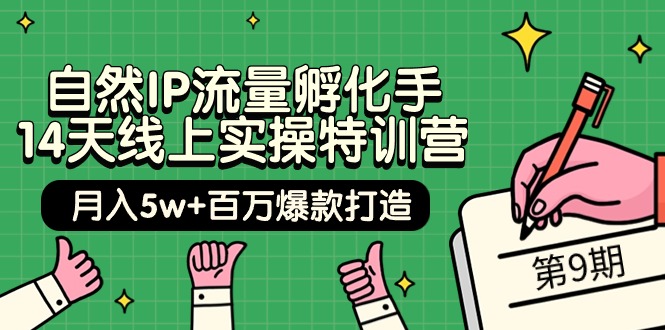 自然IP流量孵化手 14天线上实操特训营【第9期】月入5w+百万爆款打造 (74节)-智学院资源网