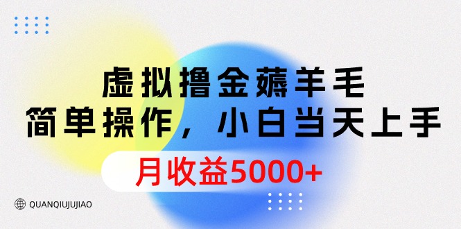 虚拟撸金薅羊毛，简单操作，小白当天上手，月收益5000+-智学院资源网