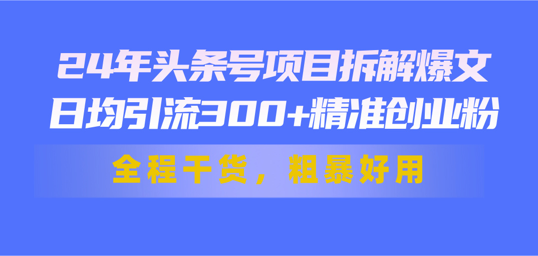 24年头条号项目拆解爆文，日均引流300+精准创业粉，全程干货，粗暴好用-智学院资源网