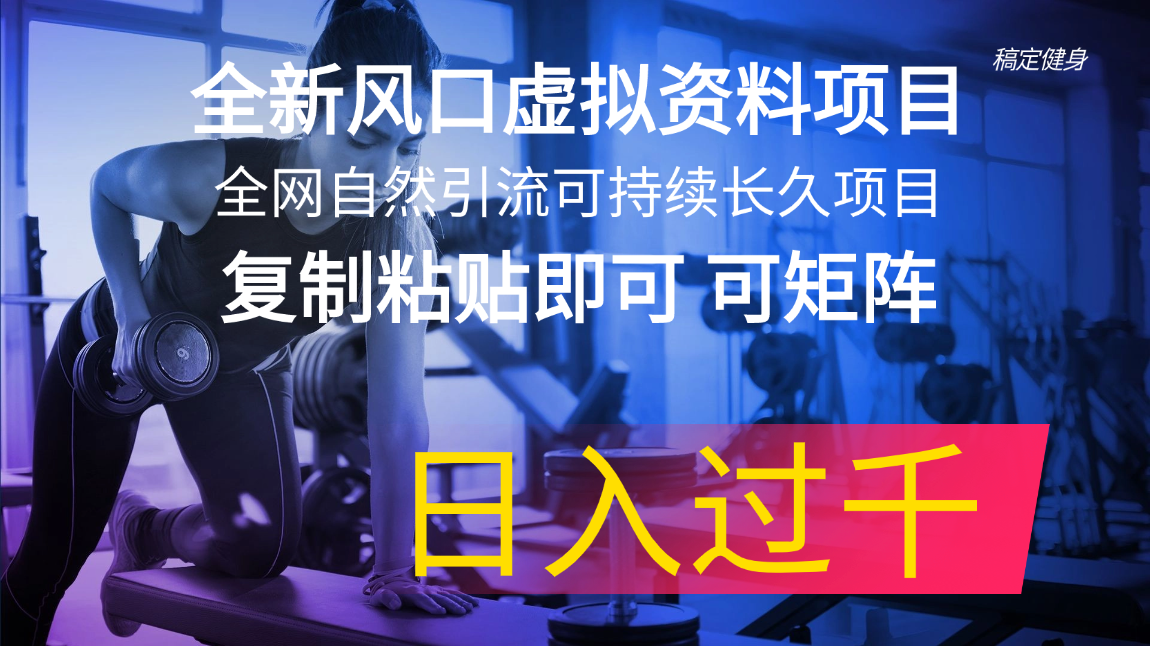 全新风口虚拟资料项目 全网自然引流可持续长久项目 复制粘贴即可可矩阵…-智学院资源网