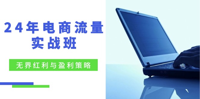 24年电商流量实战班：无界 红利与盈利策略，终极提升/关键词优化/精准…-智学院资源网